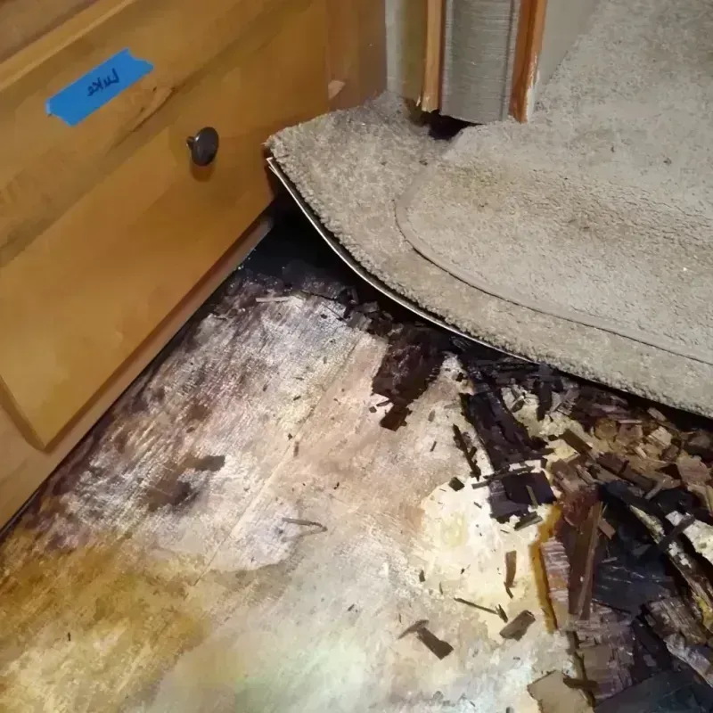 Wood Floor Water Damage in Bluff City, TN